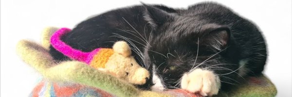 clasicats Profile Banner