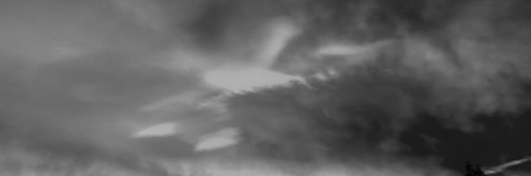 MBodlee's profile banner image