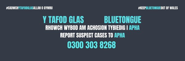 CVOCymru Profile Banner