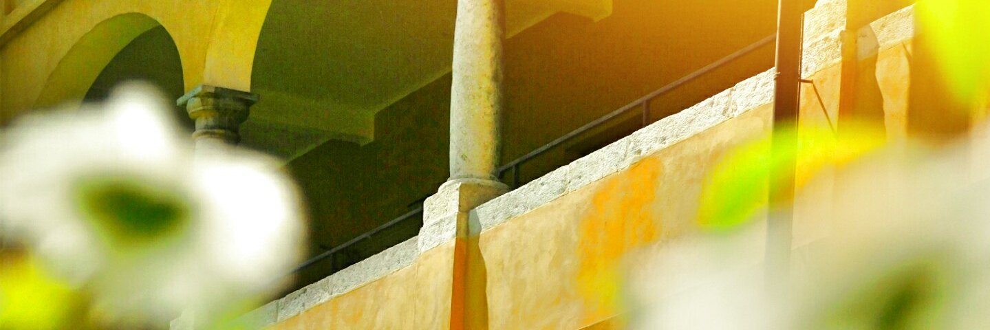 Isontina's profile banner image