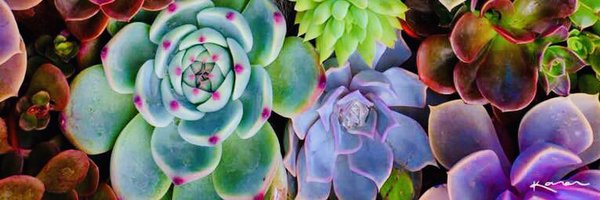 KaulitzGrace Profile Banner