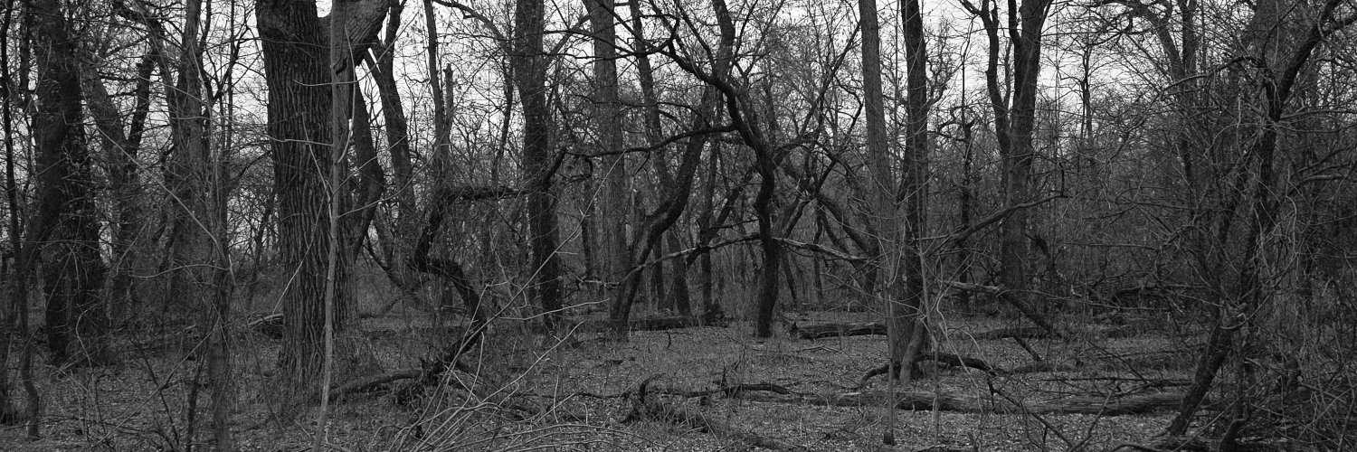 redfish365's profile banner image