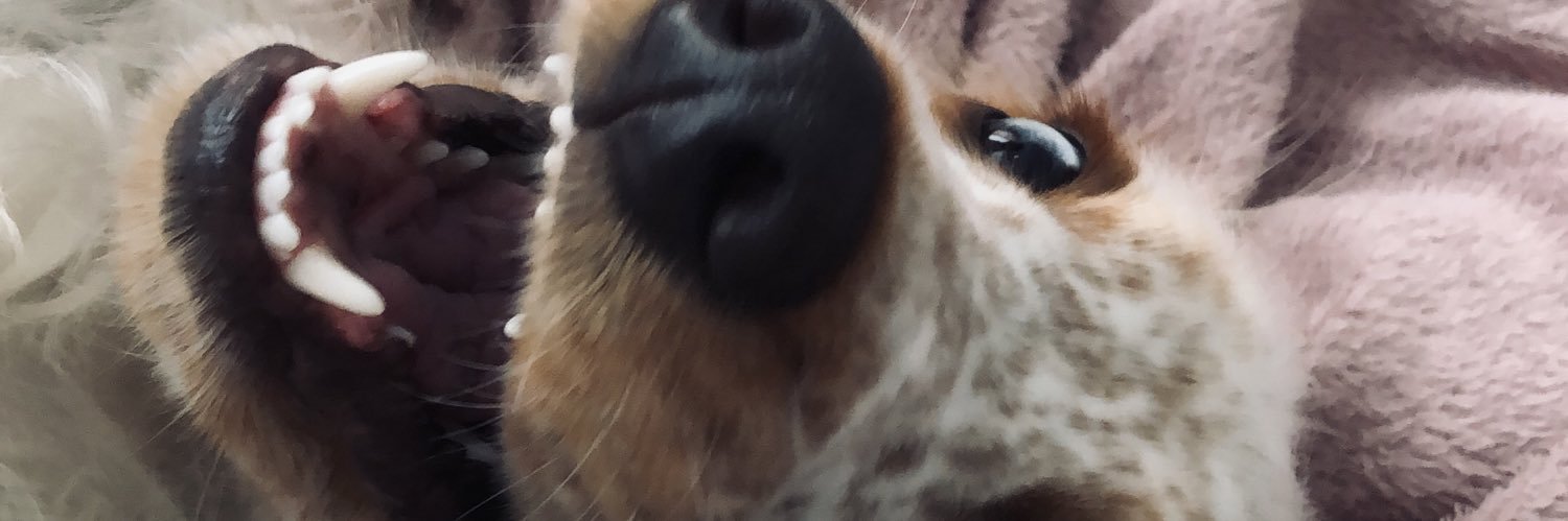JuliaMariahV's profile banner image