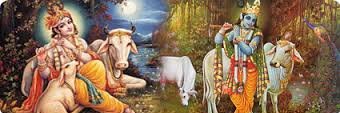 BanCowSlaughter's profile banner image