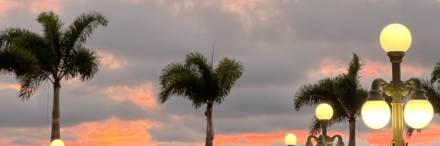 mayajeanae's profile banner image