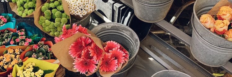 PerfectoOrgasmo's profile banner image