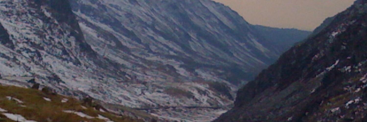MrsCunningbooks's profile banner image