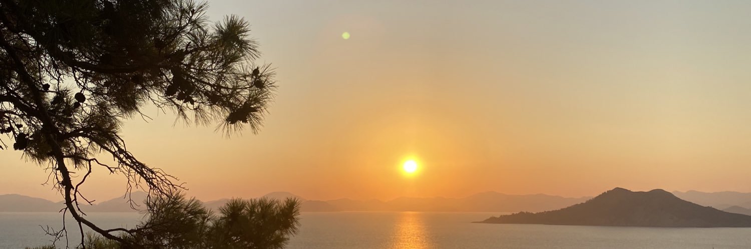 neslis_'s profile banner image