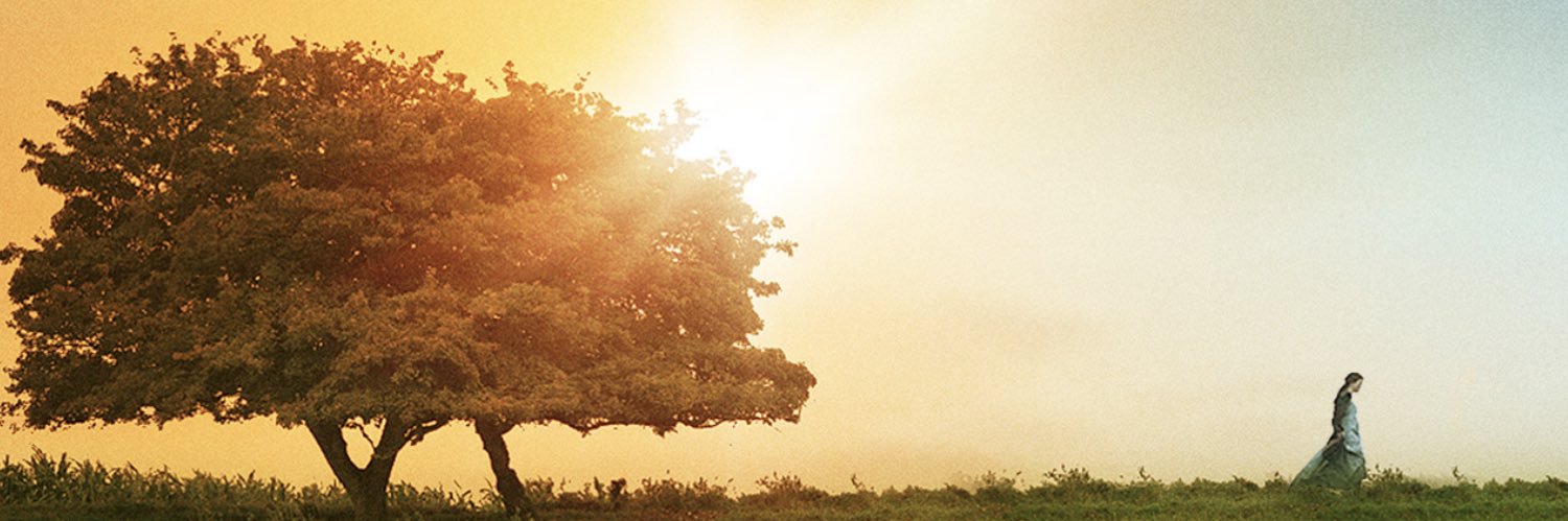 MsLizzieBennet's profile banner image