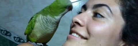 Day_Galvan's profile banner image
