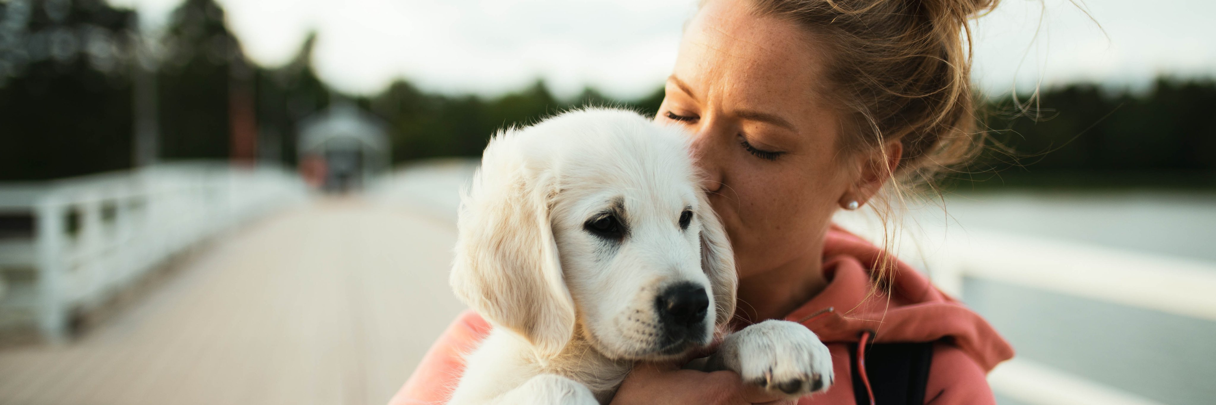 Suomen Kennelliitto banner