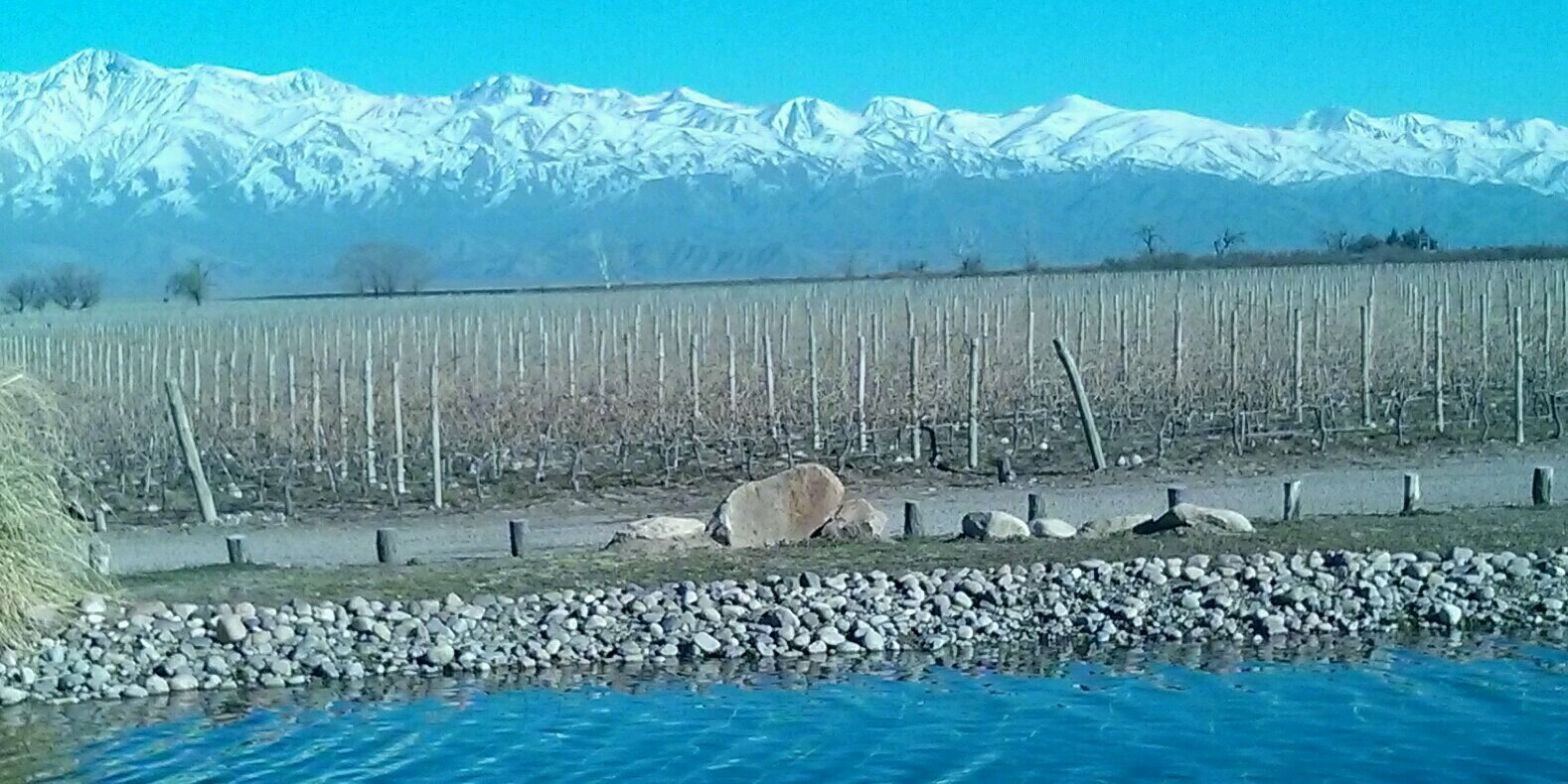 martorellwine's profile banner image