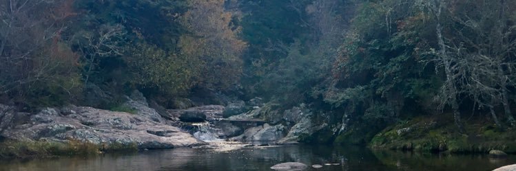 Martin_Gras's profile banner image