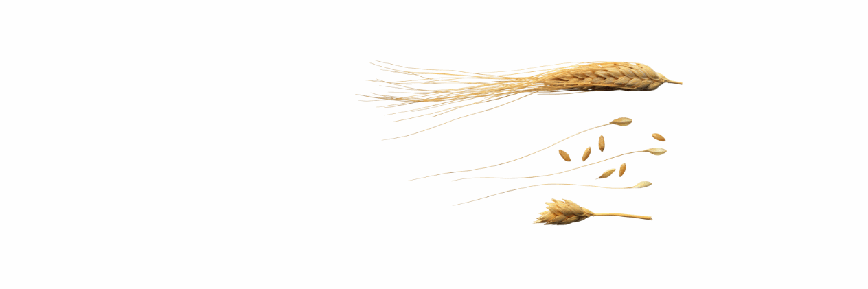 CPWNutrition's profile banner image