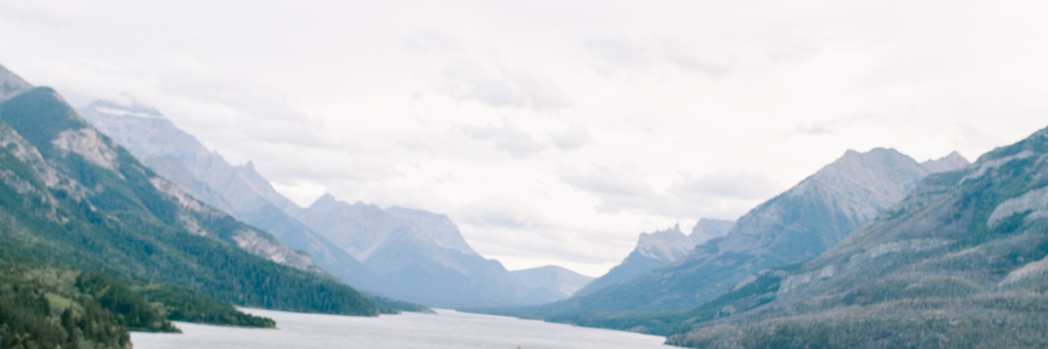 lauradun's profile banner image