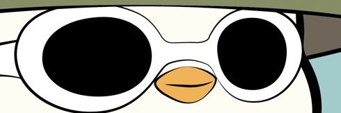 Nick banner