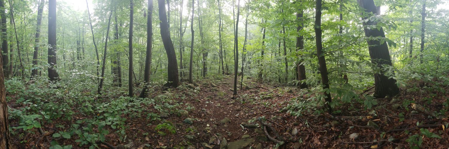 Tyler Dautrich banner