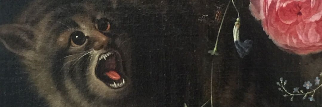 Meg Hager (she/her) banner