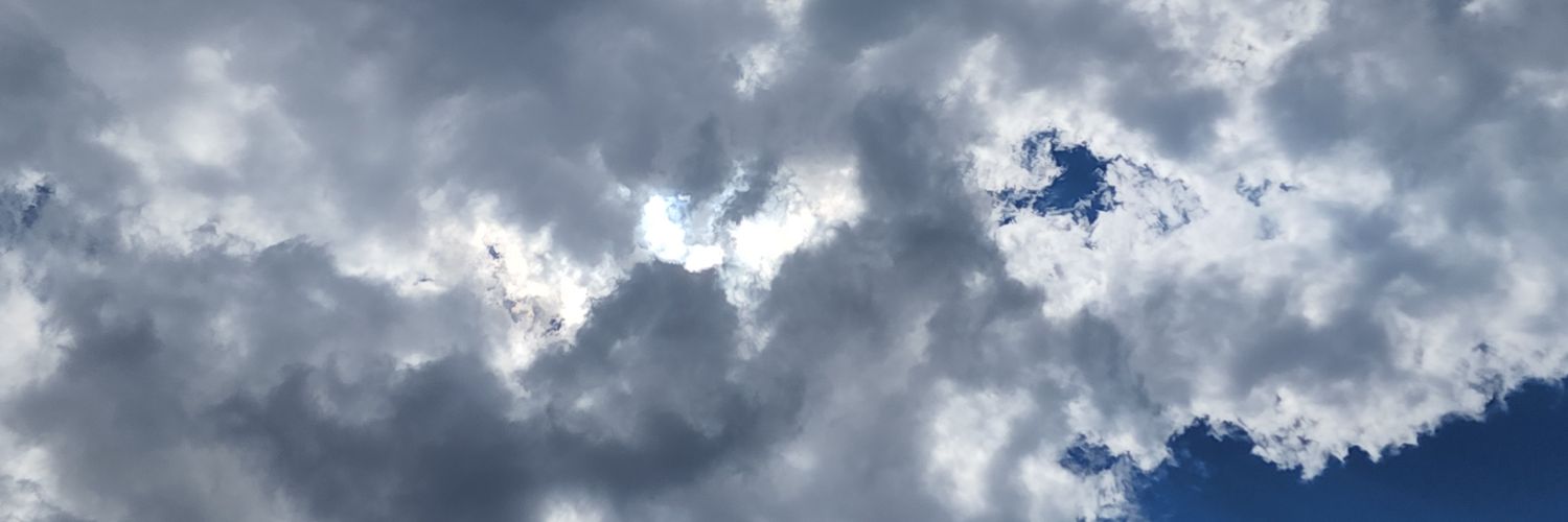 pixicat's profile banner image