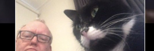 dandyosully's profile banner image