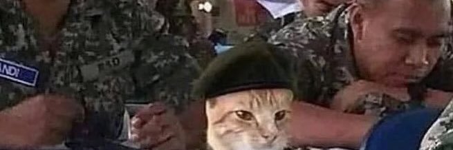 VeryBadPlayy's profile banner image
