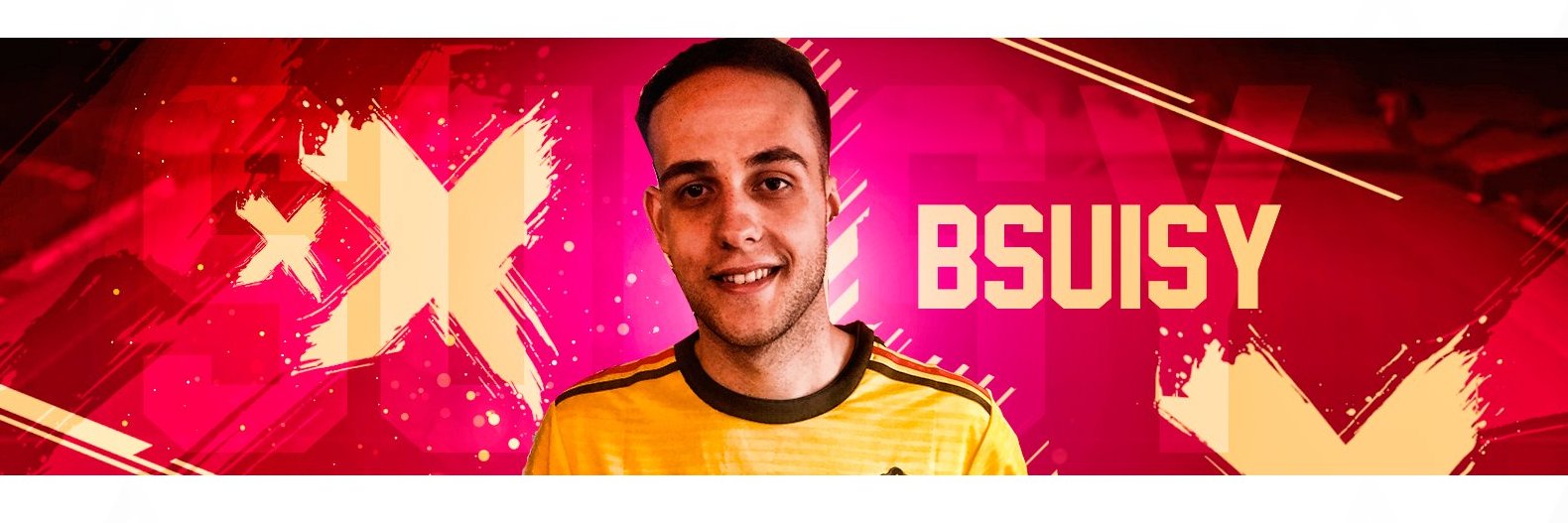 BSuisy's profile banner image