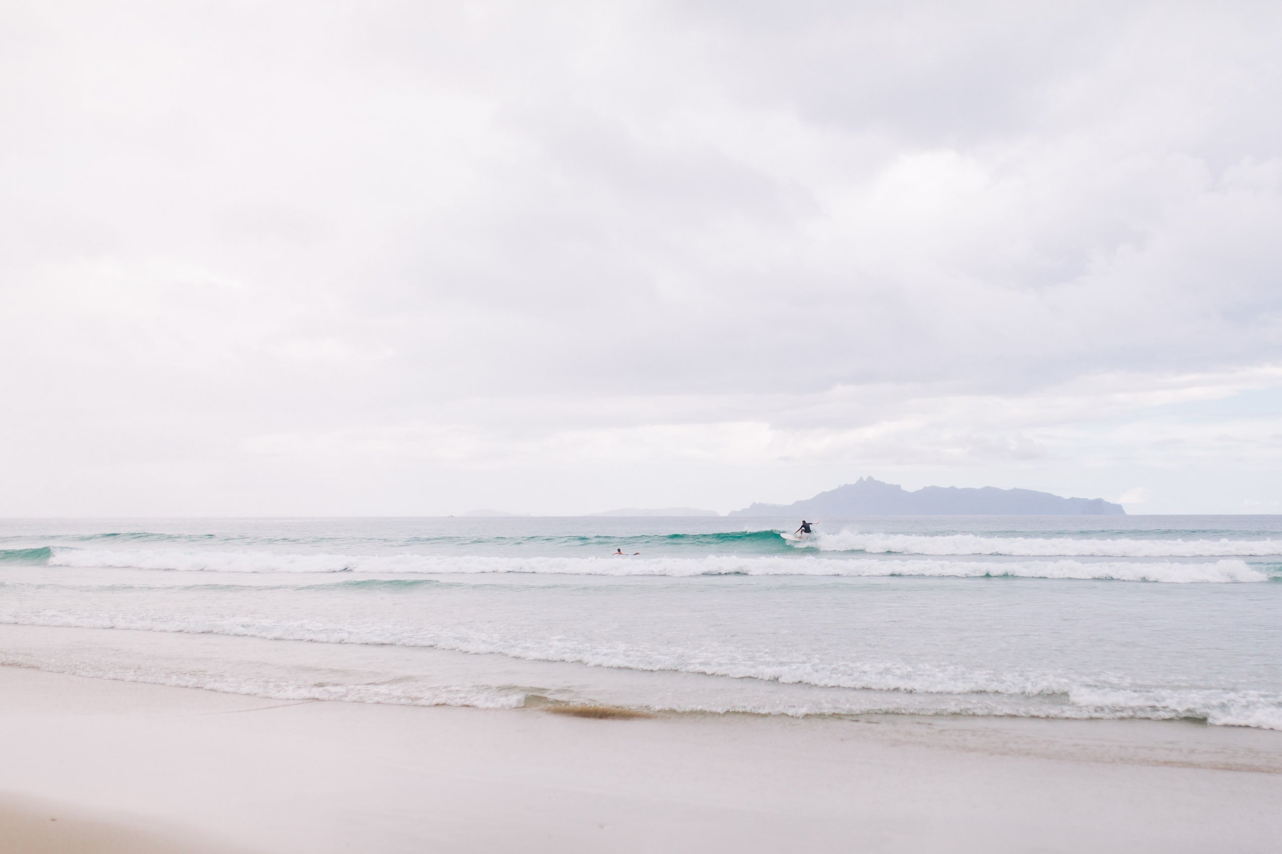 Steven Johnstone banner