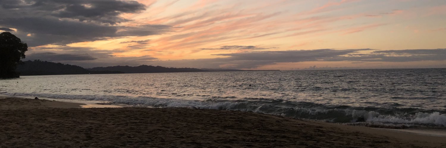 Biancatosoni's profile banner image