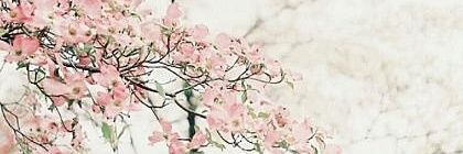 znson's profile banner image