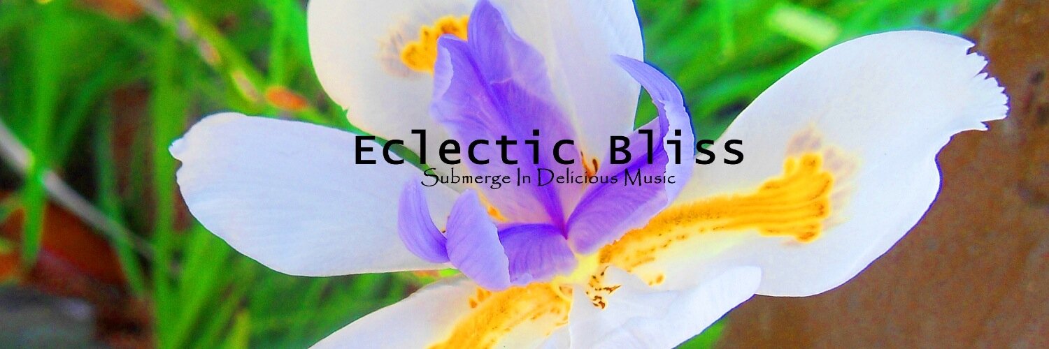 EclecticBliss's profile banner image