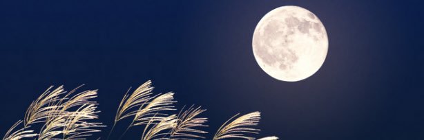 紋子 banner