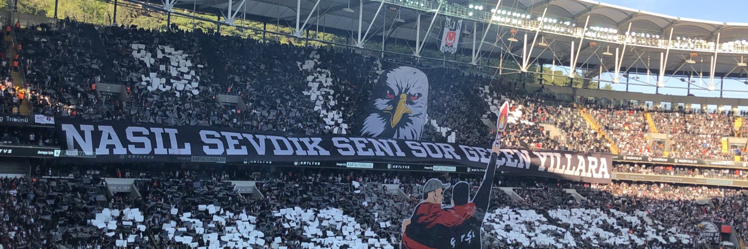 bayerolll's profile banner image