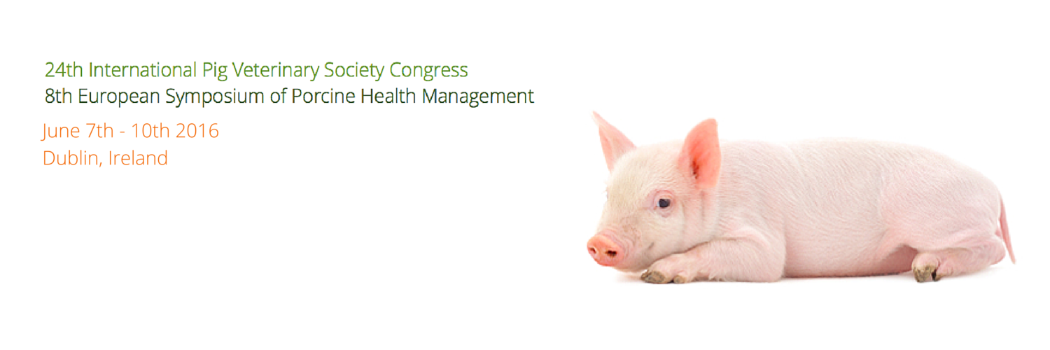 IPVS_Congress's profile banner image
