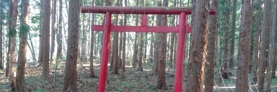 SharkSaito's profile banner image