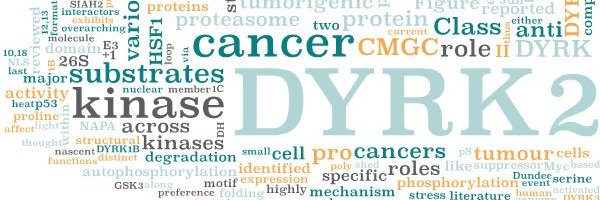 sybanerjee Profile Banner