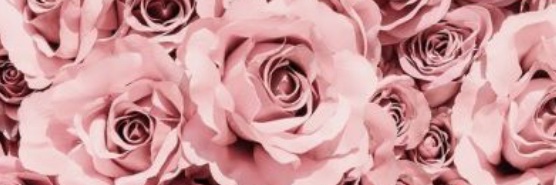 agusmirabile's profile banner image