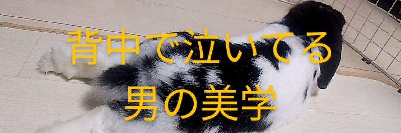 IamRabbitLover's profile banner image