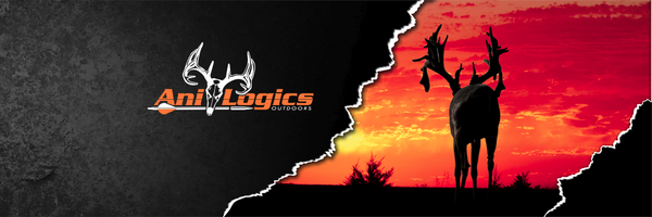 Ani_Logics Profile Banner