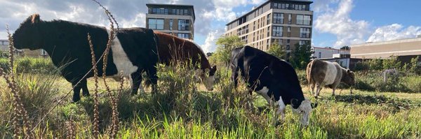 etlawlor1 Profile Banner