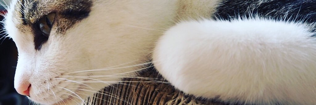 ___tkmn3's profile banner image