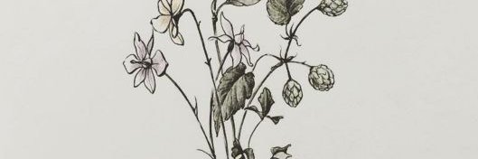 TiffanyisOkay's profile banner image