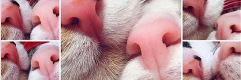 victoriavantoch's profile banner image