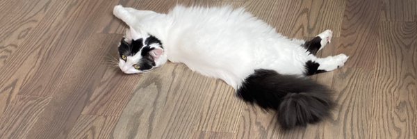 lydimcg Profile Banner