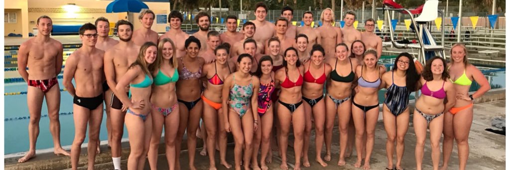 Arcadia_SWIM's profile banner image
