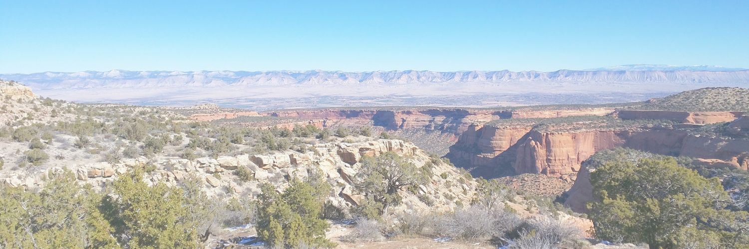 Marcie_Frantz's profile banner image