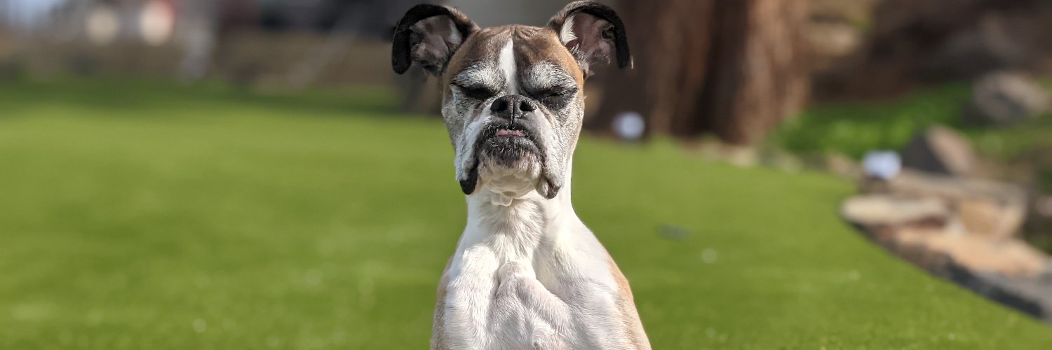 DuncanLouWho's profile banner image