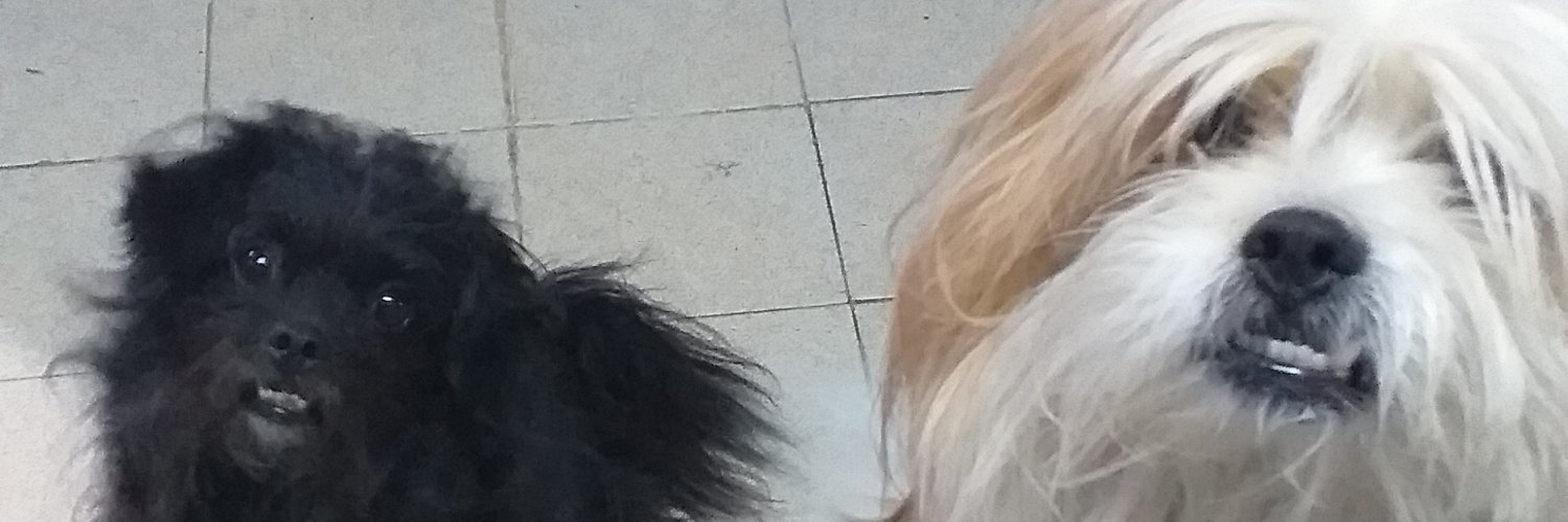 Karinsol🇦🇷🇦🇷🇦🇷 banner