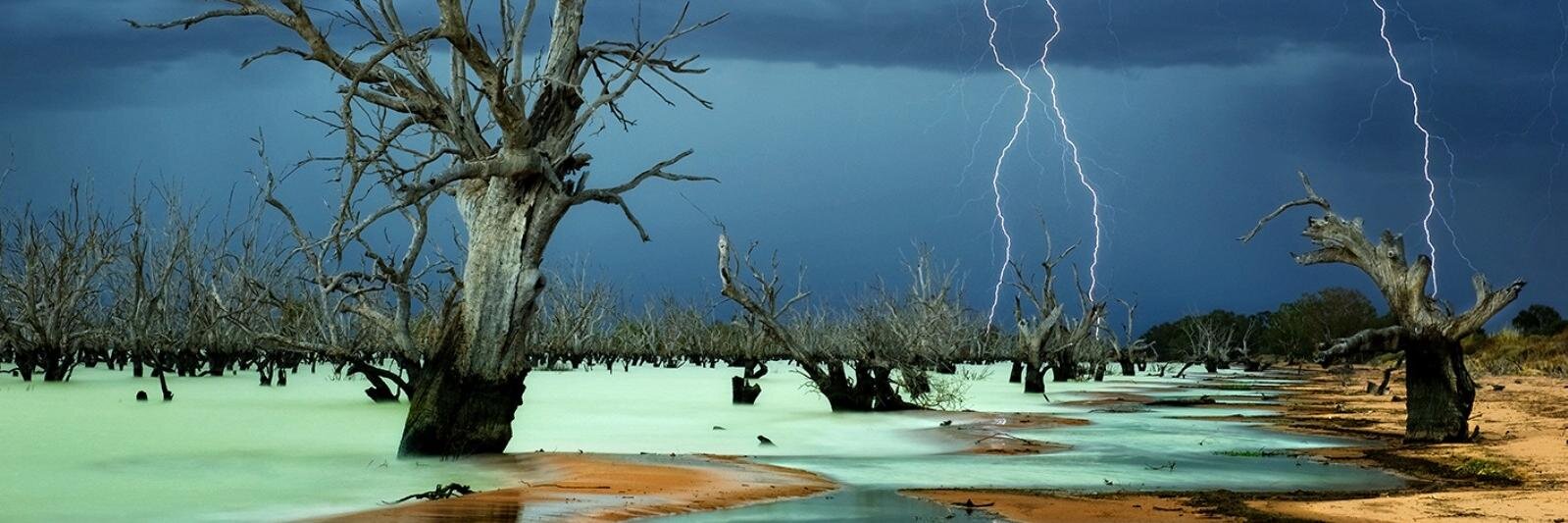 Mark Broughton banner