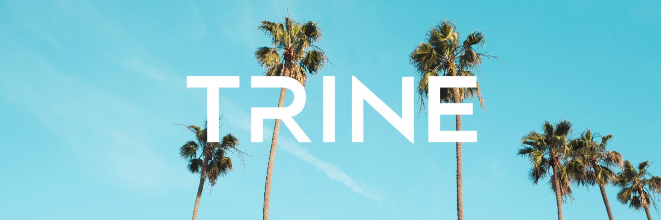 trine_la_'s profile banner image