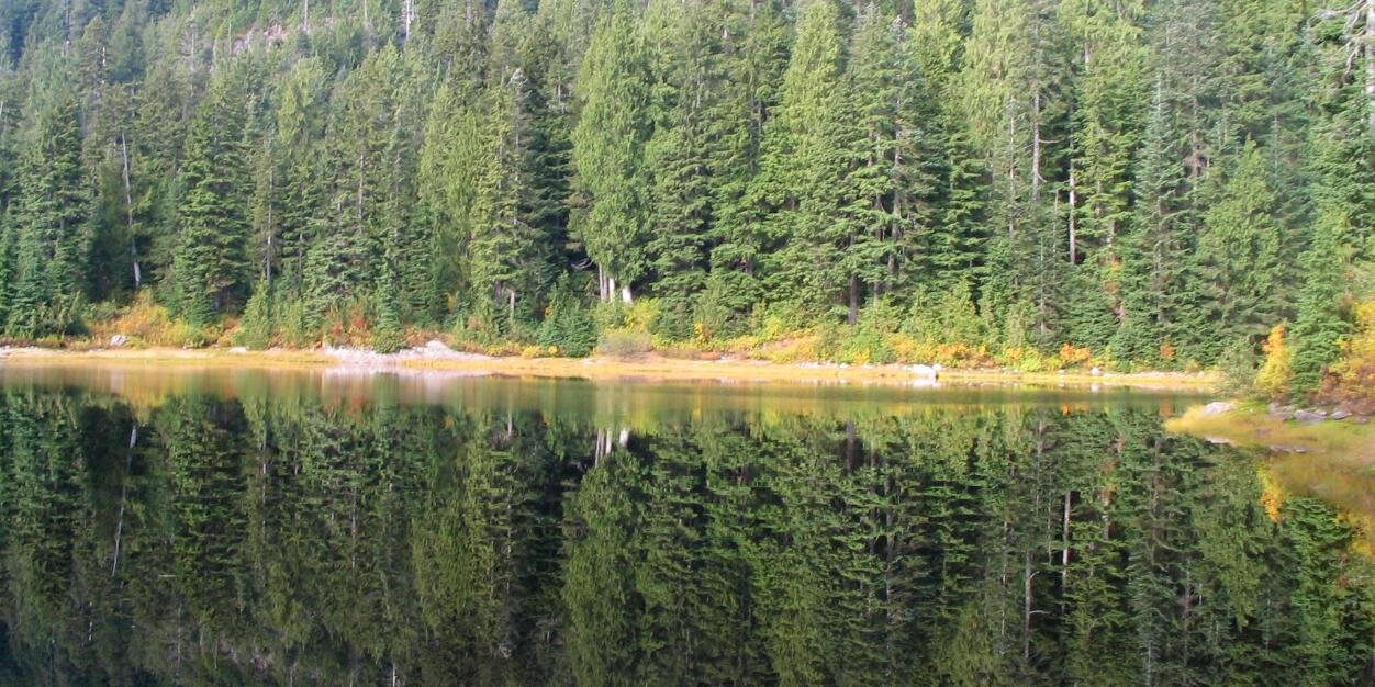 Dr. Tamara Kelly (she/her) banner